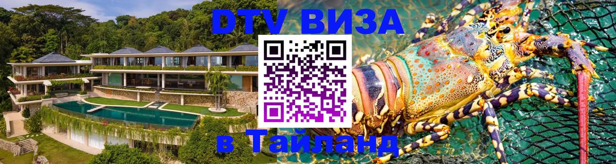 Оформление DTV визы под ключ: стоимость и тарифы, только загранпаспорт - 21.11.2025 